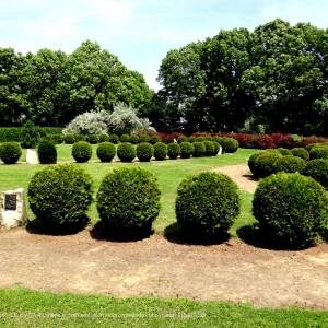 Ogród Różańcowy w Chełmie - chelm ogrod rozancowy 5