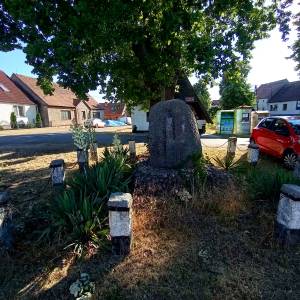 Głaz upamiętniający Rajd Karabanowa w Wysokiej - glaz upamietniajacy rajd karabanowa w wysokiej 4