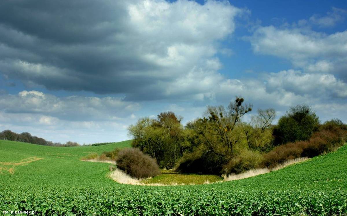 Dolina Płoni - dolina ploni 8