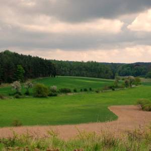 Dolina Płoni - dolina ploni 1