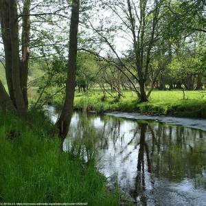Dolina Płoni - dolina ploni 2