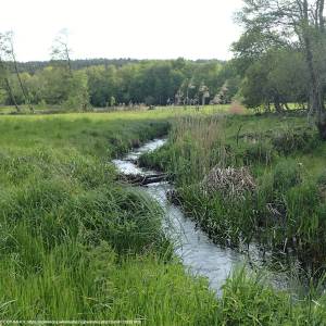 Dolina Płoni - dolina ploni 3