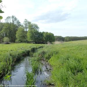 Dolina Płoni - dolina ploni 4