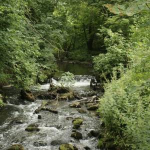 Dolina Płoni - dolina ploni 5