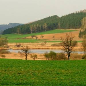 Dolina Płoni - dolina ploni 6