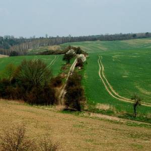 Dolina Płoni - dolina ploni 7