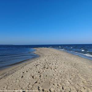 Cypel Rewski - cypel rewski 2