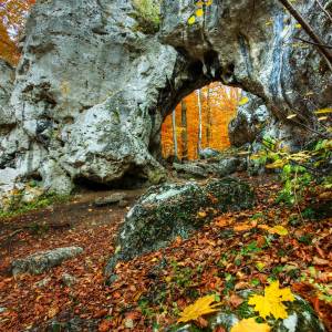 Brama Twardowskiego w Siedlcu - brama twardowskiego zloty potok