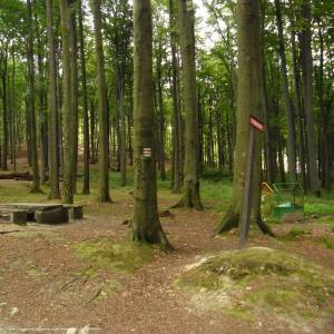 Gromnik (393 m n.p.m.) - gromnik 393 m n p m 3