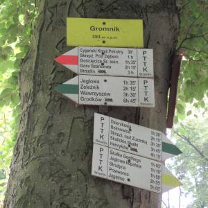 Gromnik (393 m n.p.m.) - gromnik 393 m n p m 5