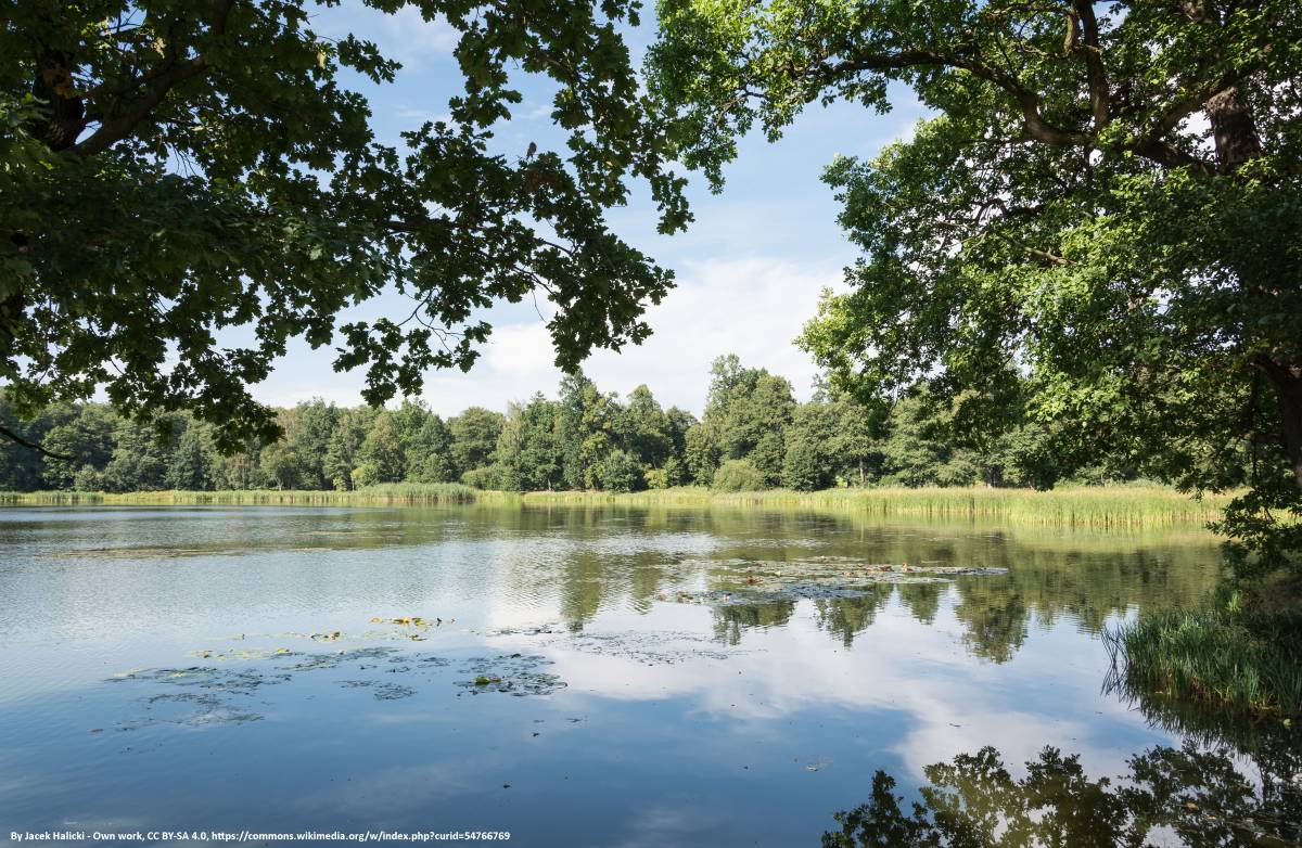 Park krajobrazowy w Bukowcu - park krajobrazowy w bukowcu 1