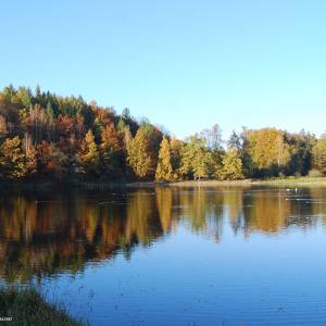 Park krajobrazowy w Bukowcu - park krajobrazowy w bukowcu 3