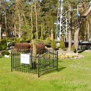 Dąb Jana Pawła II w Pustkowie - dab jana pawla ii w pustkowie