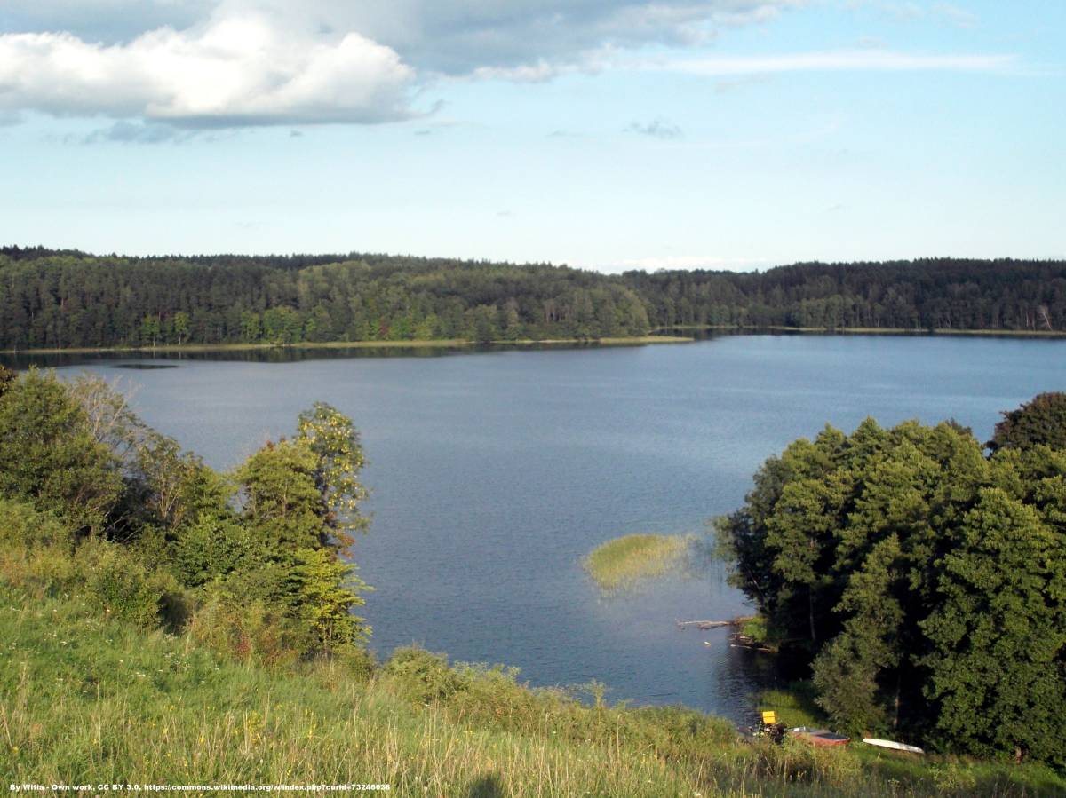 Jezioro Hańcza - jezioro hancza 3
