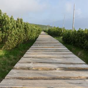 Droga Przyjaźni Polsko-Czeskiej w Karkonoszach - droga przyjazni polsko czeskiej w karkonoszach 5