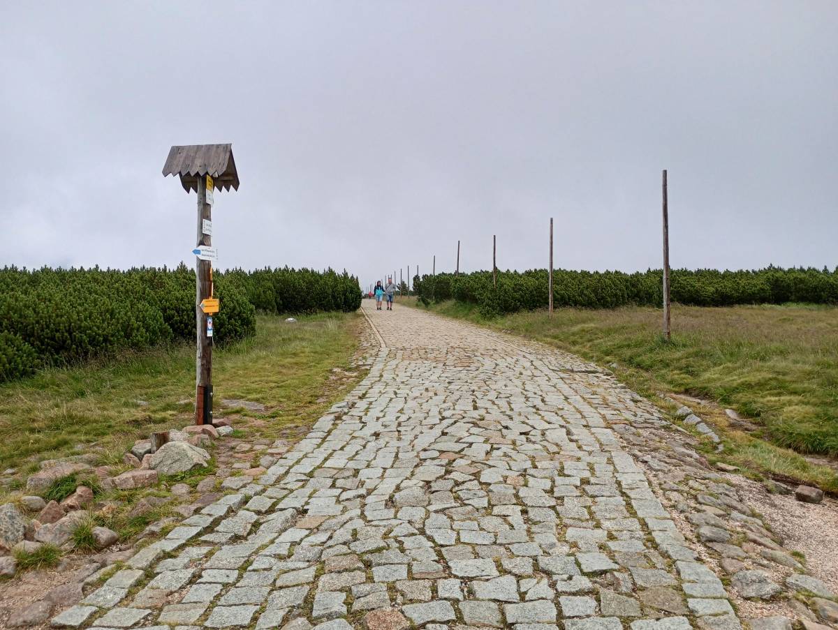 Rozdroże Spalona Strażnica - rozdroze spalona straznica 8