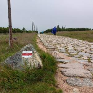 Rozdroże Spalona Strażnica - rozdroze spalona straznica 2