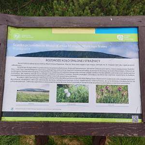 Rozdroże Spalona Strażnica - rozdroze spalona straznica 3