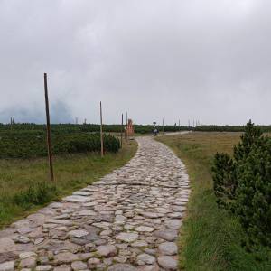 Rozdroże Spalona Strażnica - rozdroze spalona straznica 4