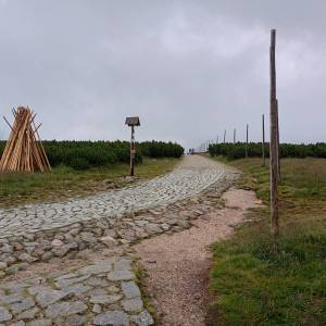 Rozdroże Spalona Strażnica - rozdroze spalona straznica 6