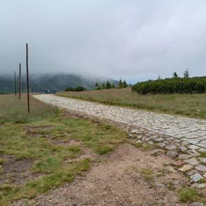 Rozdroże Spalona Strażnica - rozdroze spalona straznica 7