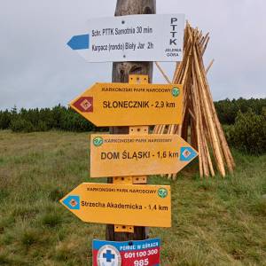 Rozdroże Spalona Strażnica - rozdroze spalona straznica 9