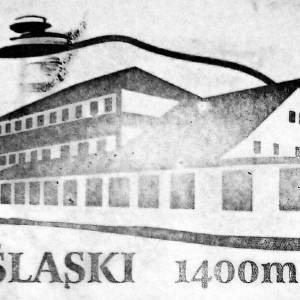 Schronisko Górskie "Dom Śląski" - pieczatka dom slaski