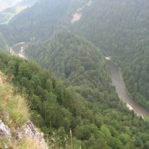 Spływ Przełomem Dunajca (Sromowce Wyżne - Szczawnica/Krościenko) - img 9346