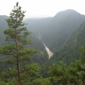 Spływ Przełomem Dunajca (Sromowce Wyżne - Szczawnica/Krościenko) - img 9380