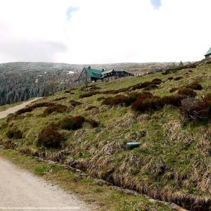 Schronisko "Pod Łabskim Szczytem" - schronisko pod labskim szczytem 3