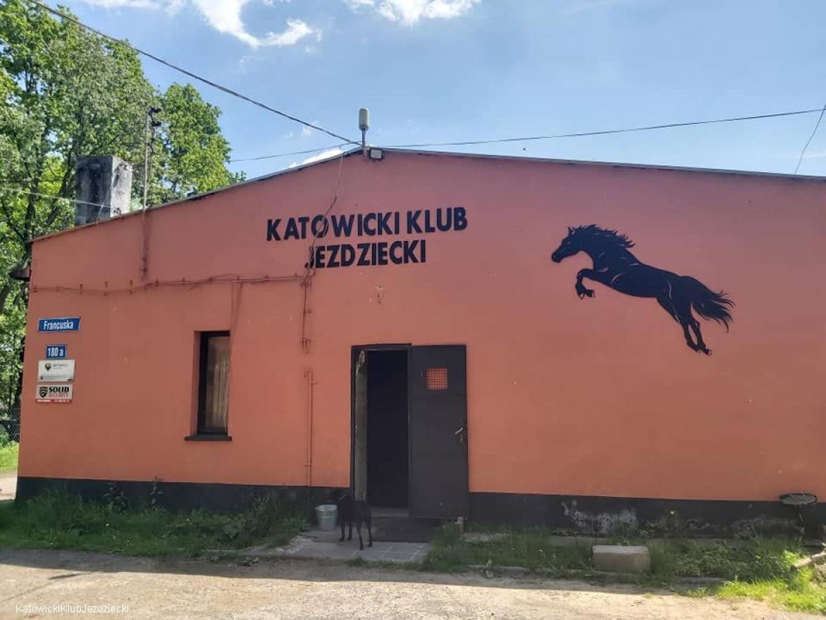 Katowicki Klub Jeździecki - 98478447 3304147409649682 6195536091651506176 n