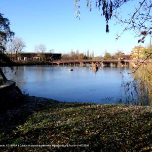 Uzdrowisko Inowrocław - inowroclaw park solankowy 1