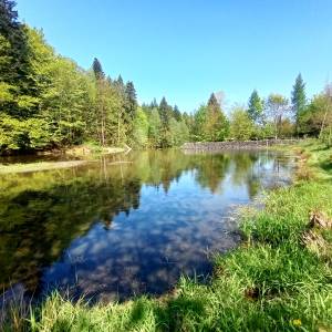 Przystań wodna "Leśnica" w Brennej - przystan wodna lesnica w brennej 20