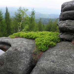 Skałki nad Przesieką - skalki nad przesieka 3