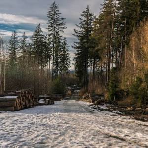 Rozdroże pod Jańską Górą - rozdroze pod janska gora 1