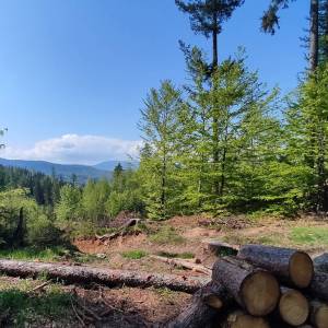 Rozdroże pod Jańską Górą - rozdroze pod janska gora 3