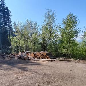 Rozdroże pod Jańską Górą - rozdroze pod janska gora 4