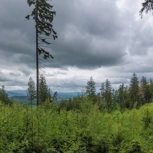 Rozdroże pod Jańską Górą - rozdroze pod janska gora 6