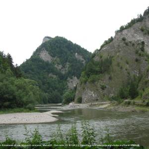 Sokolica (747 m n.p.m.) - dunajec droga pieninska 01