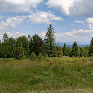 Leskowiec (922 m n.p.m.) - img 20240608 135602497 hdr