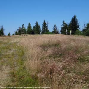 Leskowiec (922 m n.p.m.) - leskowiec bma1