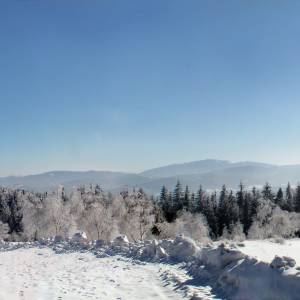 Leskowiec (922 m n.p.m.) - leskowiec panorama