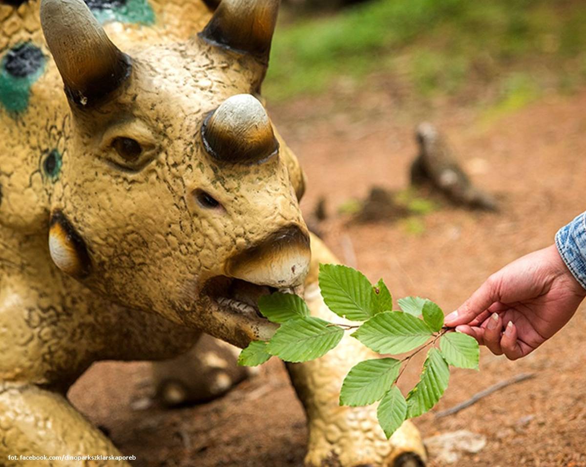 Dinopark w Szklarskiej Porębie - dinopark w szklarskiej porebie