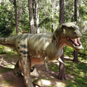 Dinopark w Szklarskiej Porębie - dinopark w szklarskiej porebie 2