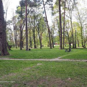 Park Konstytucji 3 Maja w Białymstoku - 20220507 155213 may 2022 in bialystok