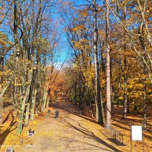 Park Konstytucji 3 Maja w Białymstoku - 20231101 110358 november 2023 in bialystok