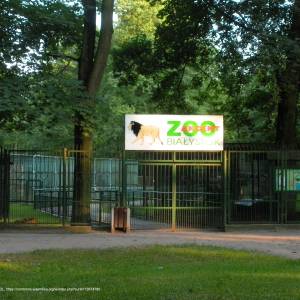 Park Konstytucji 3 Maja w Białymstoku - akcent zoo bialystok