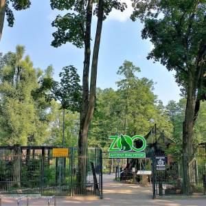 Park Konstytucji 3 Maja w Białymstoku - zoo bialystok 6