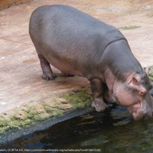 Afrykarium we Wrocławiu - afrykarium we wroclawiu 10