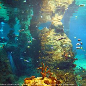 Afrykarium we Wrocławiu - afrykarium we wroclawiu 4